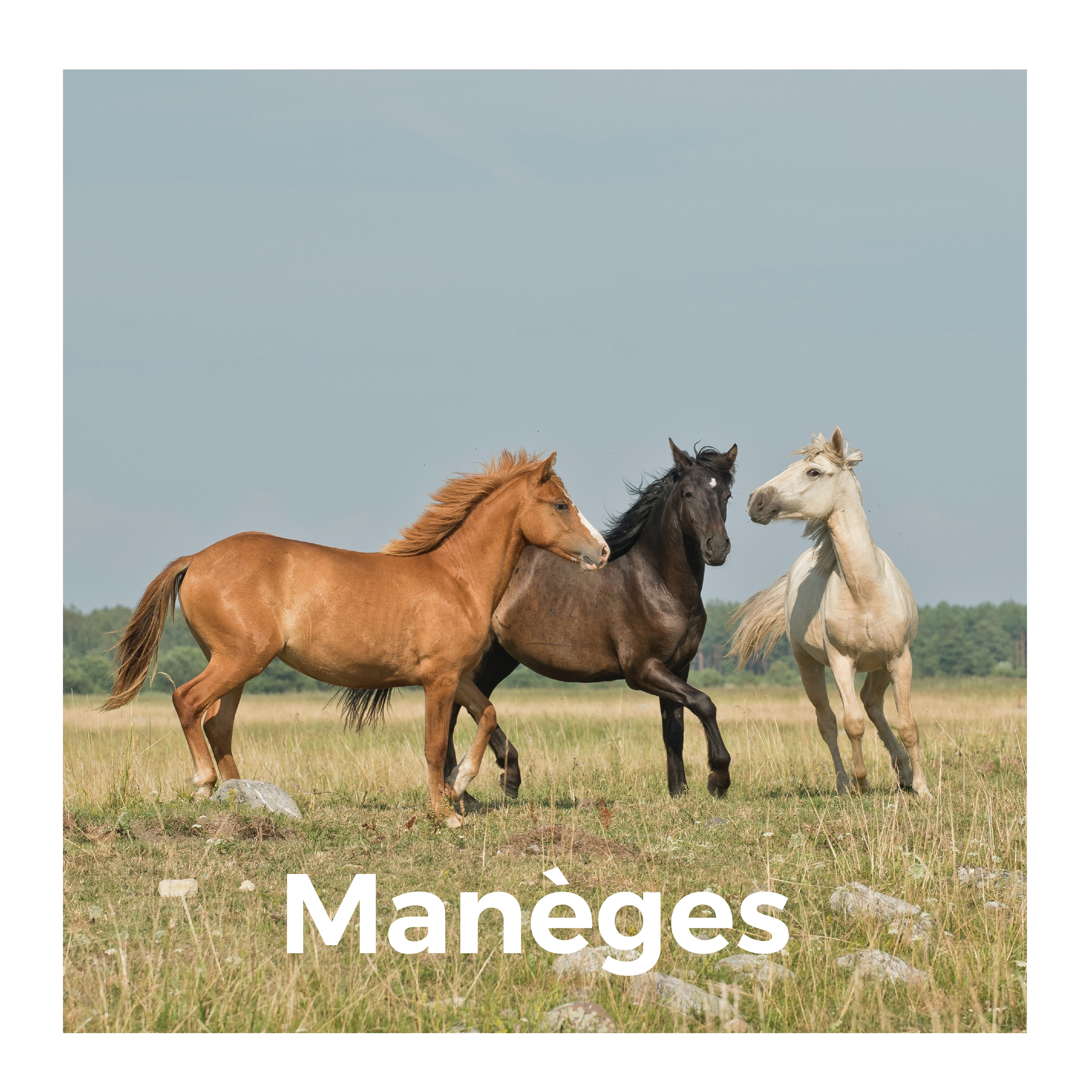 Manèges