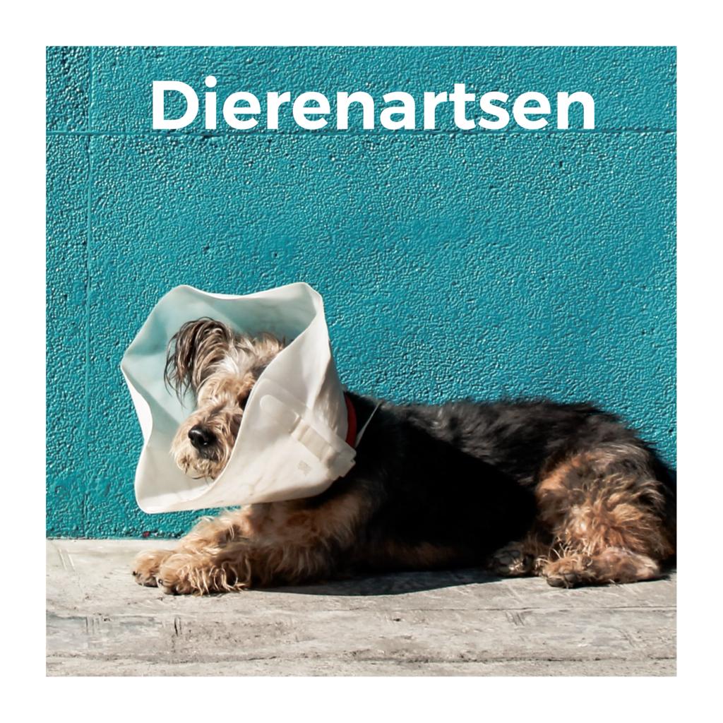 Dierenartsen