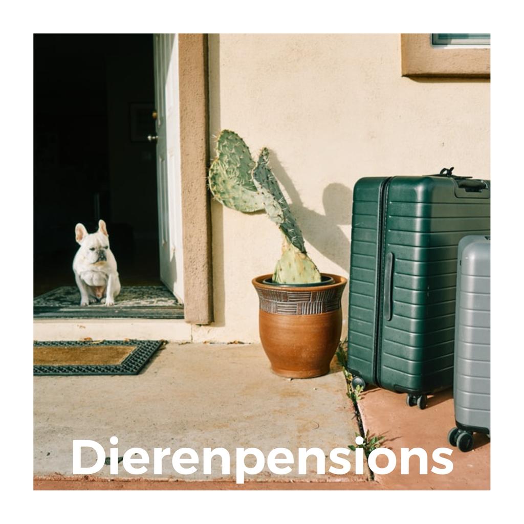 Dierenpensions