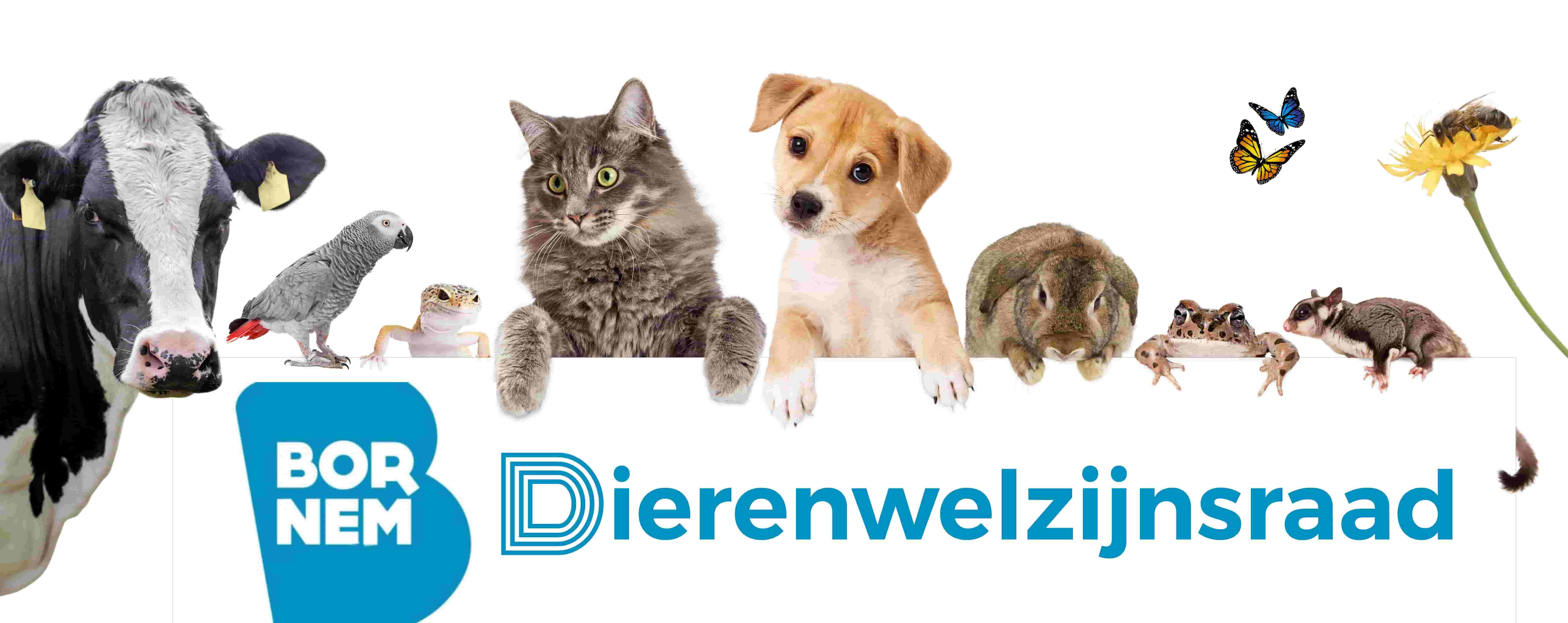 Dierenwelzijnsraad Bornem